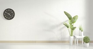 招財 室內 植物